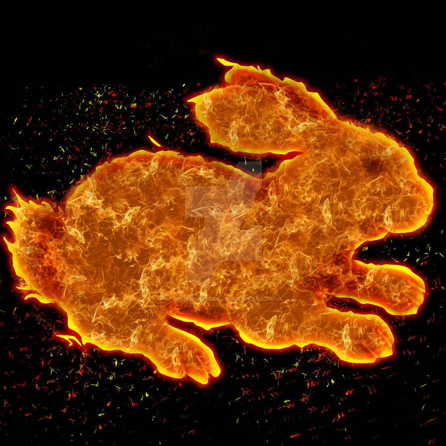 Fire Rabbit by TriEdge1836 on DeviantArt