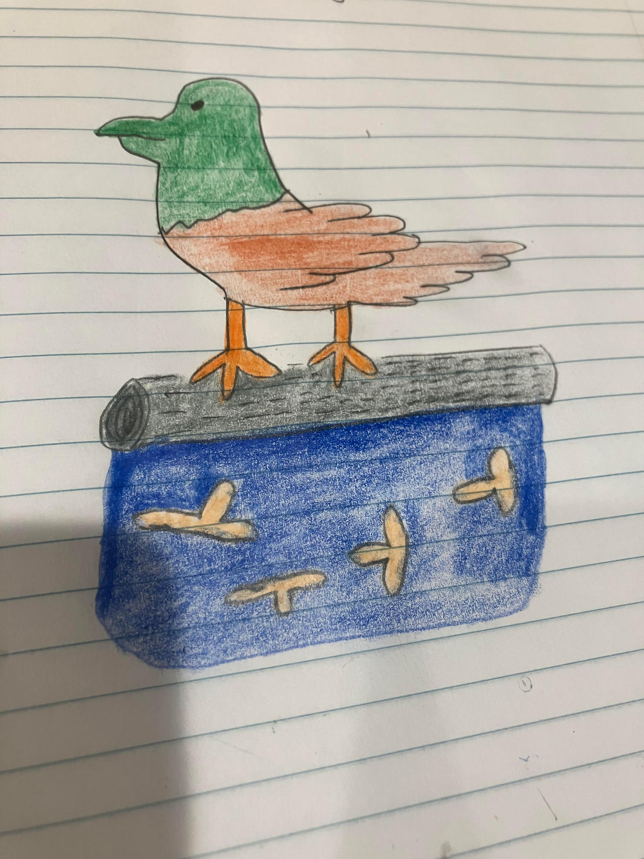 Duck Riding Deviantart Duck by dromm7 on DeviantArt