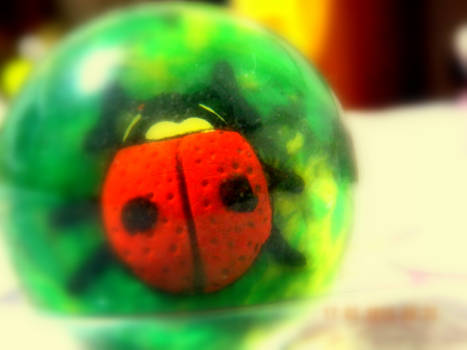 Ladybug in a ball