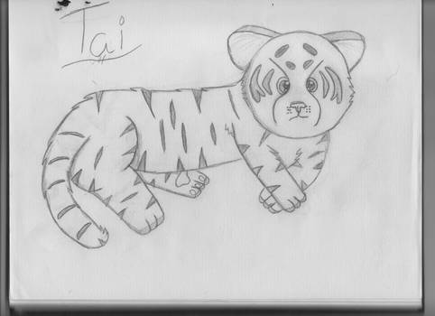 Tai The Tiger!!