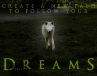 Follow Your Dreams