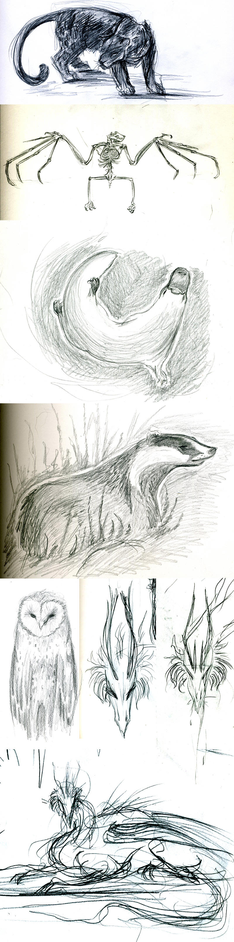 Animal Sketch Requests