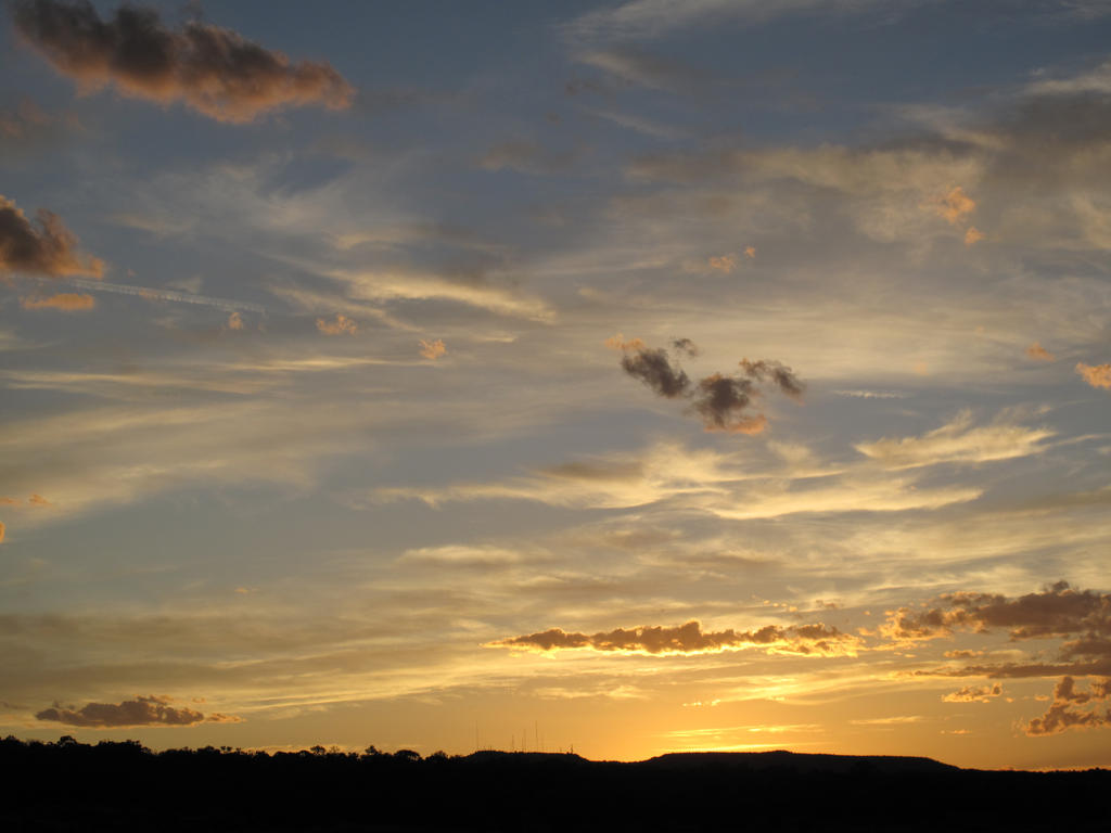 Golden Sunset