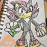 Shadow The Hedgehog Drawing in my Sketchbook 