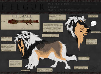 Helgur character sheet