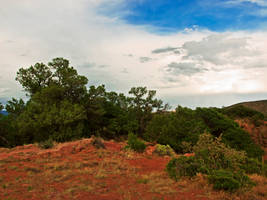 Red Earth and Trees