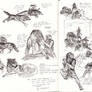 Goblins And Wargs studies