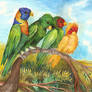 Parrots on a branch