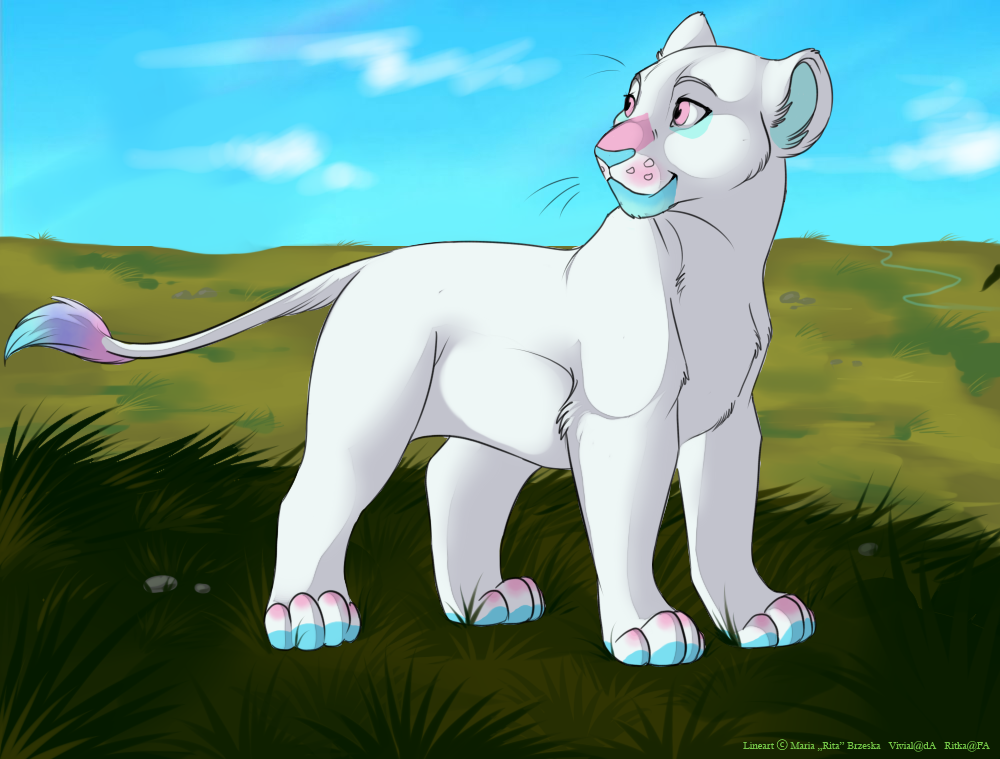 Candy Lion as a Cub