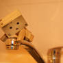 Danbo on the sink