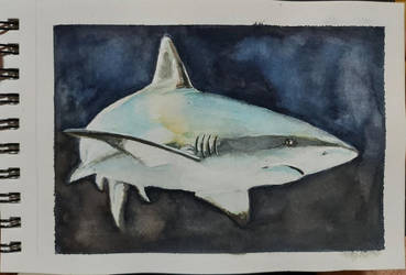 Sea Life Aquarela #7