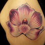 Wild Orchid Tattoo