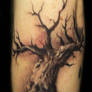 oak tree tattoo