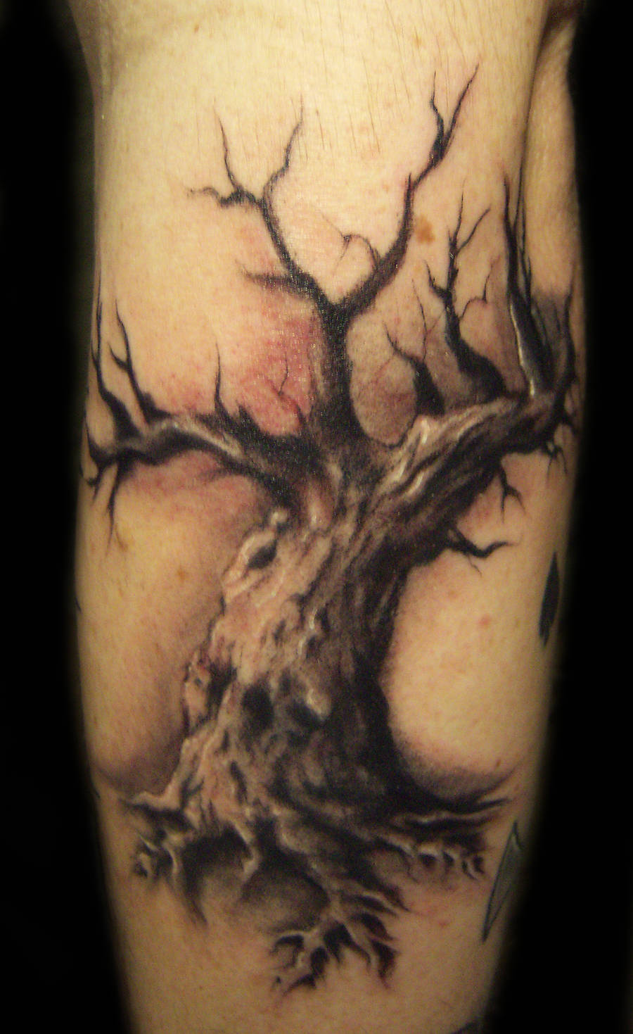 oak tree tattoo by hatefulss