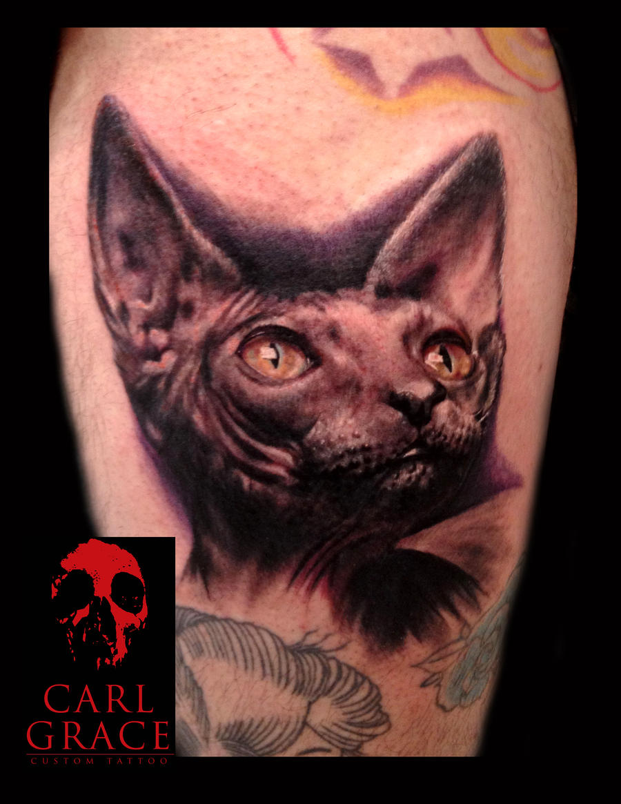 Канадский сфинкс тату