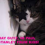 LOLCAT