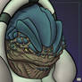 Krogan Detail