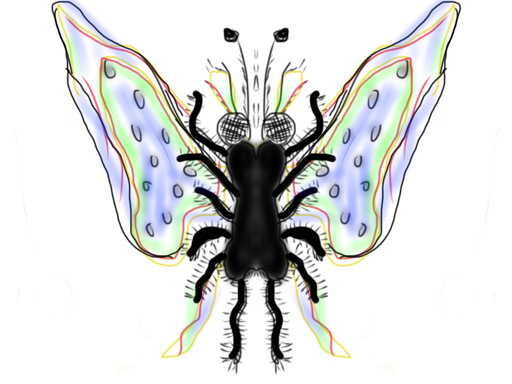 Fly Bug Deviantart FLYING INSECT by millerbite04 on DeviantArt