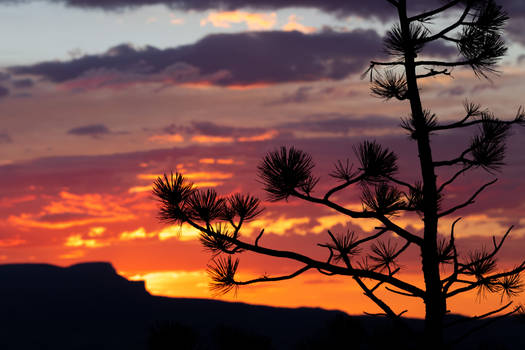 Dawn at Bryce Canyon