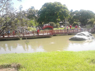 Jardin Japones-planetario (32)