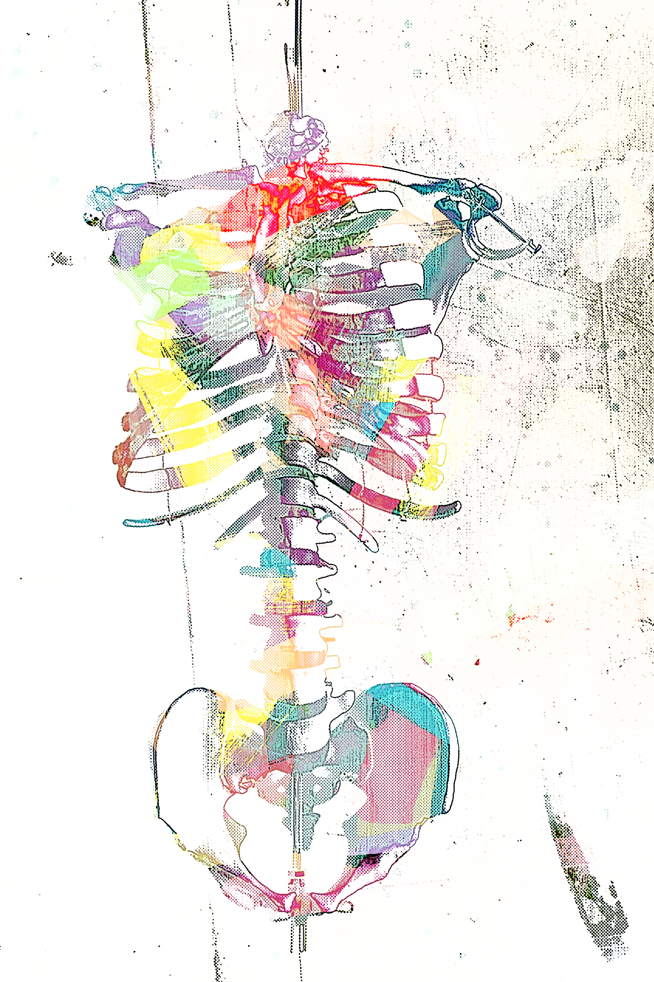 Pop art Skeleton