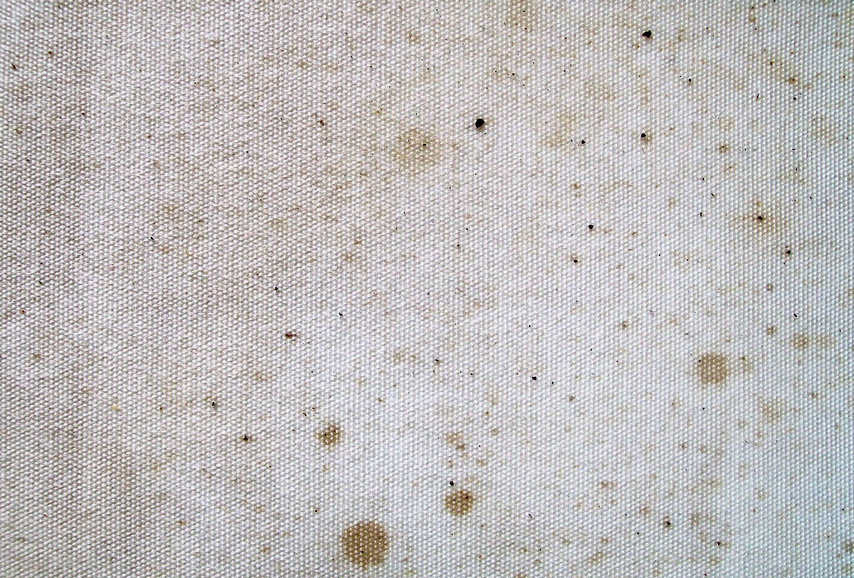 Free Dirty Canvas Texture