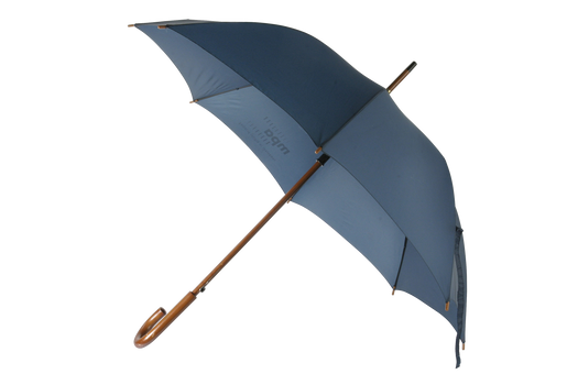 FREE PNG Umbrella