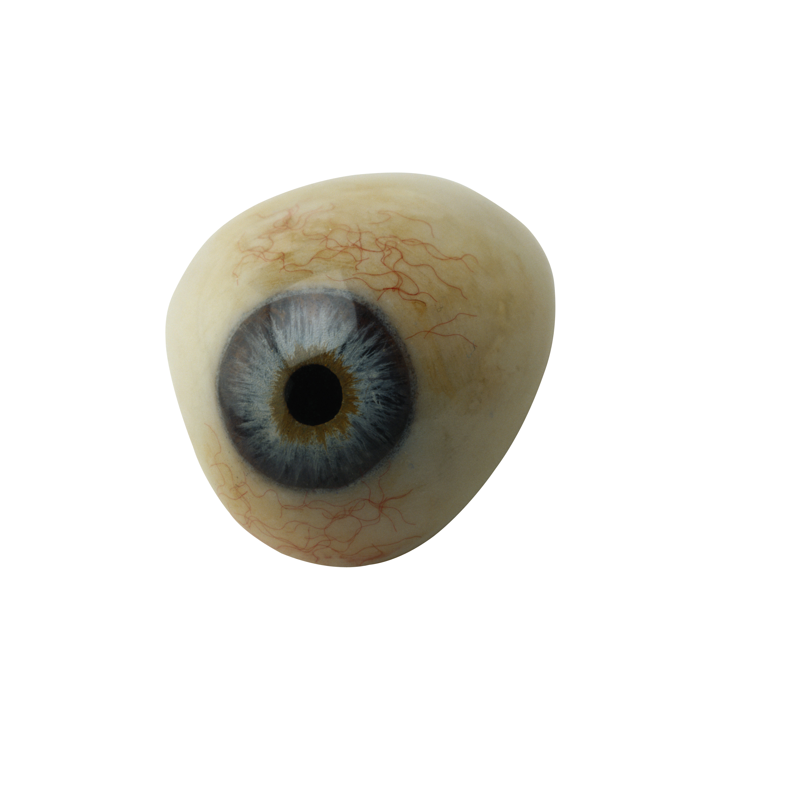 Eye transparent PNG