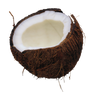 Coconut png
