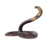 Snake transparent png
