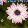 XWidget Desktop 18.06.12