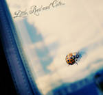 In love with Miss Ladybug by LoveBuzz91