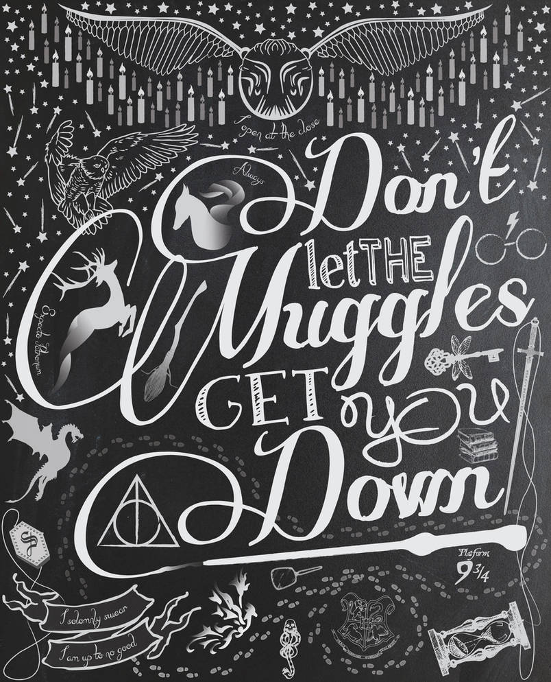 Don't let the Muggles get you down. by grumbles87