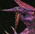 Ridley-MOM-plz icon