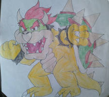 It's Bowser's time to Shine