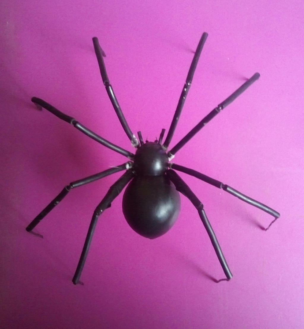 Bug books black widow spider hardback