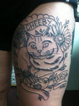 cat outline not done