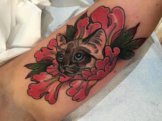 Peony Cat