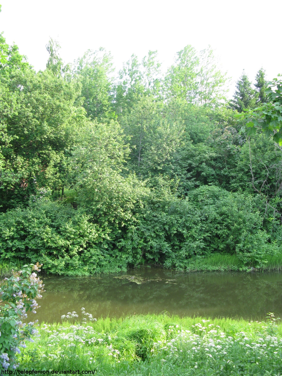 Green Riverbank I