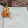 The Holy Qur'an