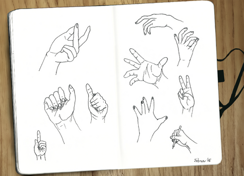 Hands Study