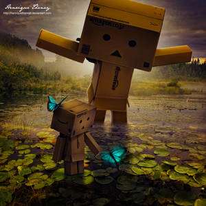 Danbo by Henriqu3Campos Danbo by Henriqu3Campos