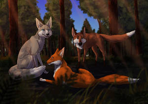 Foxes