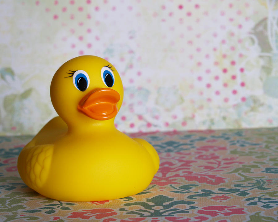 Rubber duck girl porn furry hentai gay