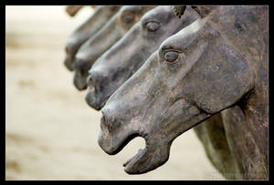 Terra Cotta Horses