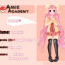 Amie Academy - Parfait