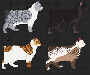 Cat Adoptables | OPEN