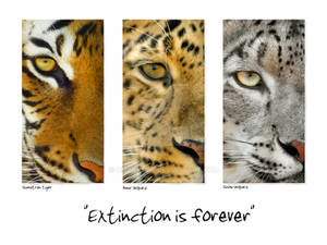 Extinction is forever