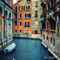 Venice II