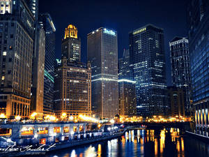 Chicago Nights